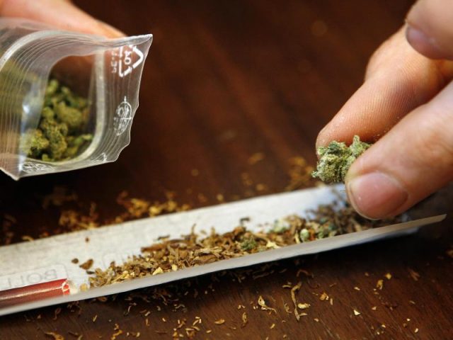 moegliche-ampel-koalition-vor-cannabis-legalisierung-gewarnt