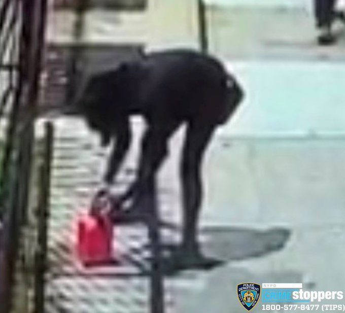 suspect-in-arson-outside-new-york-jewish-school-nabbed,-police-say