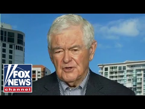 newt-gingrich:-democrats-are-absolutely-fixed-on-their-radical-wing