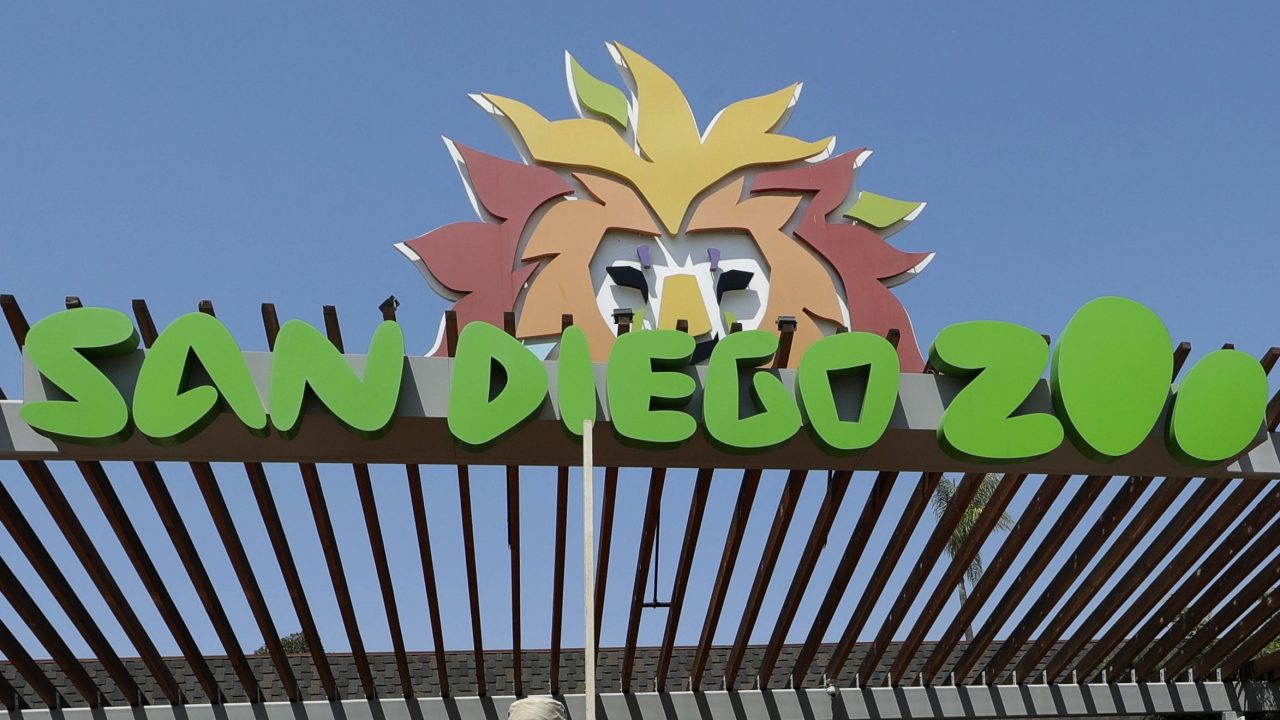 san-diego-zoo’s-skyfari-ride-vandalized,-stranding-100-plus-riders,-police-say;-4-suspects-arrested