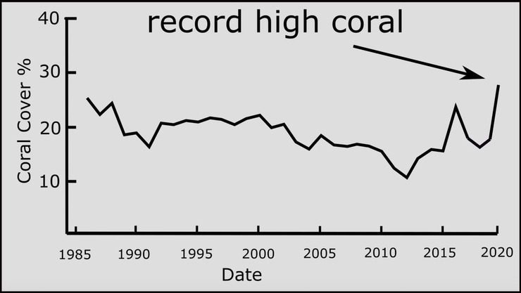 meerestemperaturen-am-great-barrier-reef-binnen-150-jahren-nicht-angestiegen