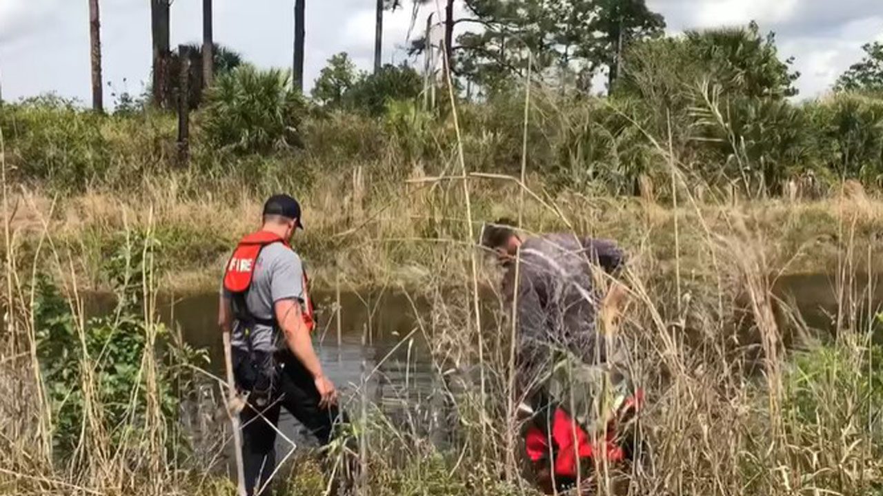 divers-search-florida-park-after-remains-found-in-alligator’s-mouth