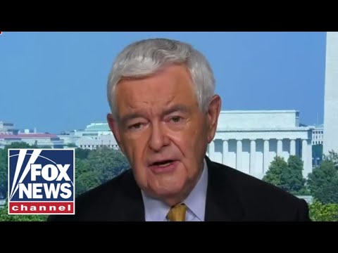 gingrich:-moderate-democrats-are-getting-’squeezed-from-both-sides‘