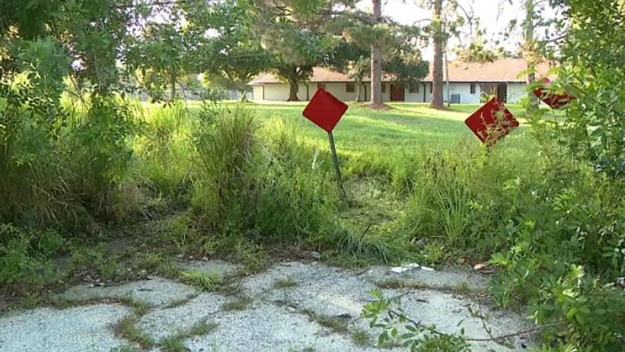 florida-couple-in-their-80s-found-dead-in-ditch,-authorities-say