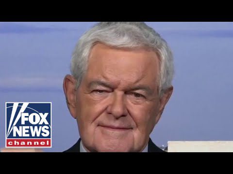 harris-is-crazy-enough-to-satisfy-the-left:-newt-gingrich