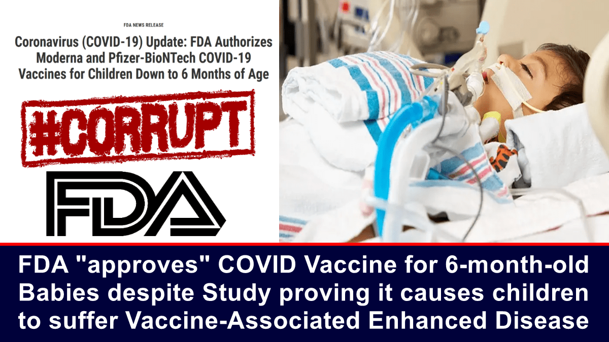 fda-“approves”-covid-vaccine-for-6-month-old-babies-despite-study-proving-it-causes-children-to-suffer-vaccine-associated-enhanced-disease