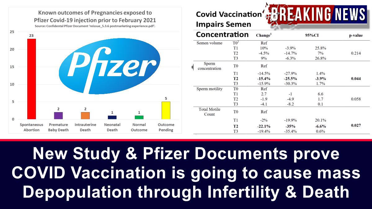 new-study-&-pfizer-documents-prove-covid-19-vaccination-is-going-to-cause-mass-depopulation-through-infertility-&-death