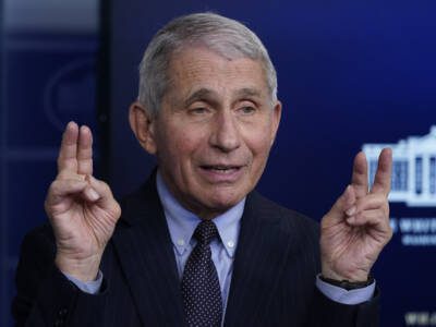 fauci-flees:-controversial-covid-doc-will-retire-at-the-end-of-biden’s-term