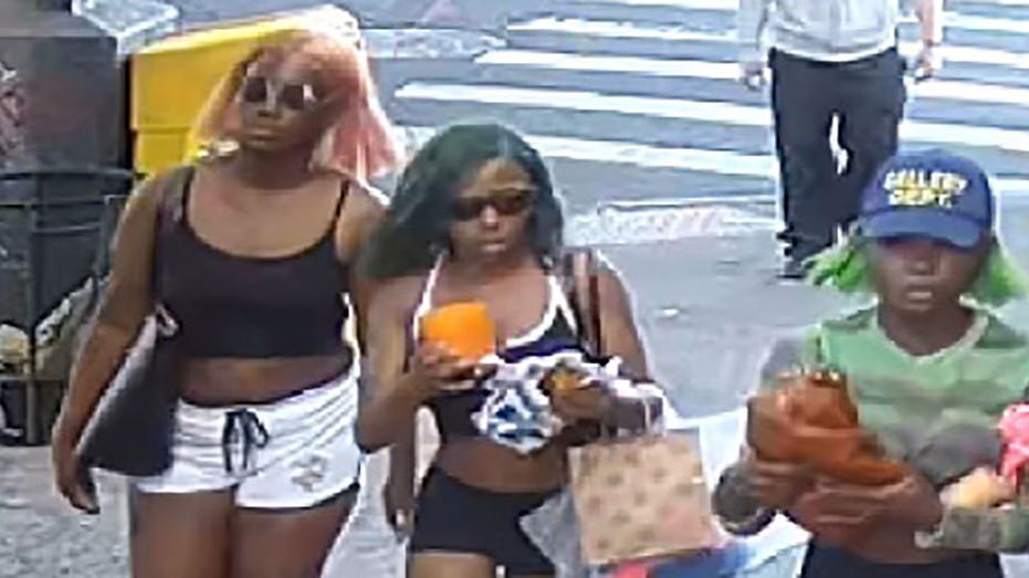 nyc-teen-girls-arrested-on-hate-crime-charges-for-‚anti-white-assault‘