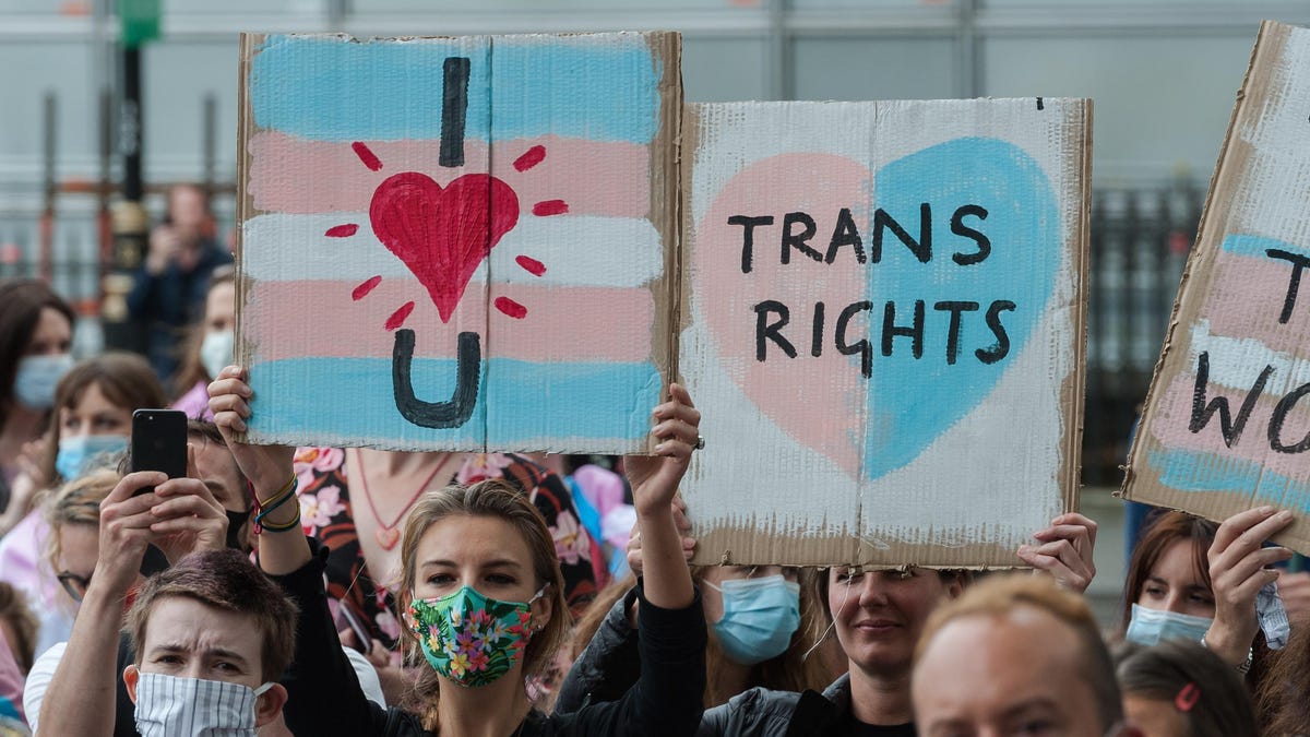 the-bizarre-logic-that-underpins-the-trans-movement