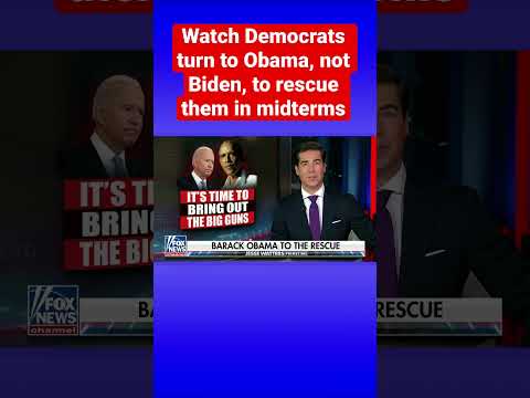 watters:-biden-was-nowhere-to-be-found-so-obama-had-to-come-to-the-rescue-#shorts