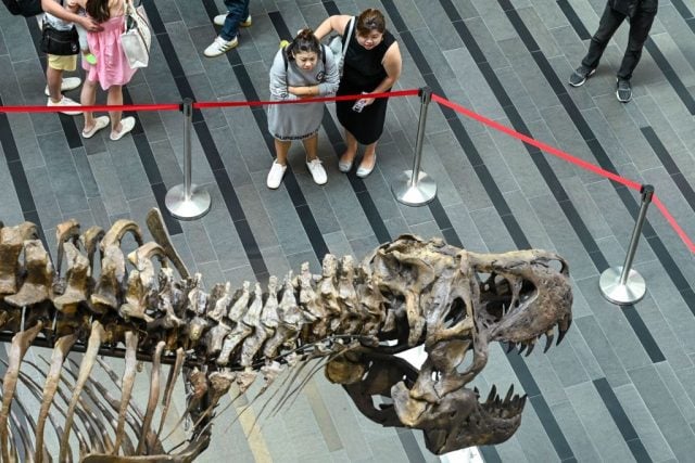 klimaaktivisten-kleben-sich-an-dinosaurierskelett-fest