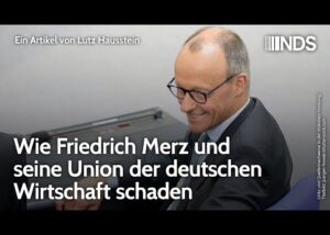 wie-friedrich-merz-und-seine-union-der-deutschen-wirtschaft-schaden-|-lutz-hausstein-|-nds-podcast