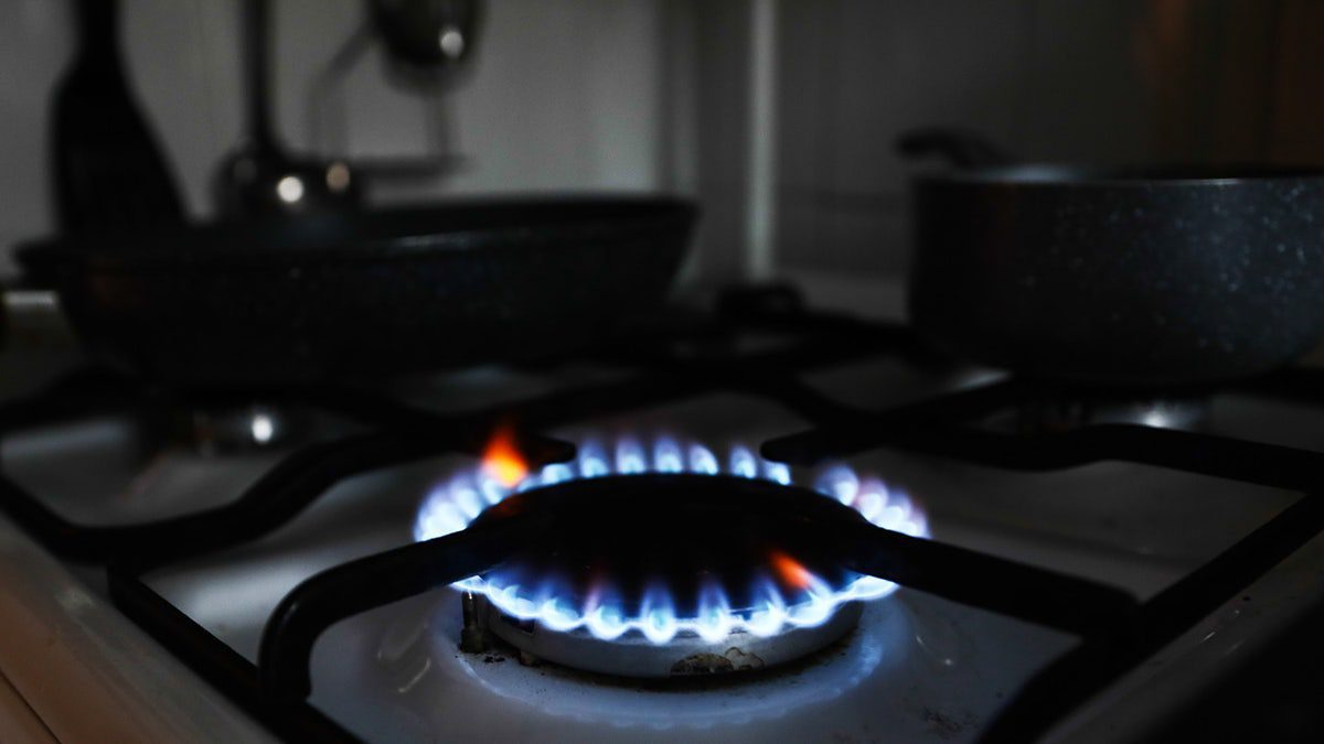 new-york-times-columnist-fearmongers-on-gas-stoves:-they-‚may-be-killing-you‘