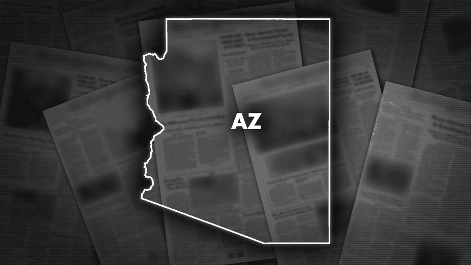 az-woman-accused-in-the-death-of-her-10-year-old-adopted-son-extradited-from-ga
