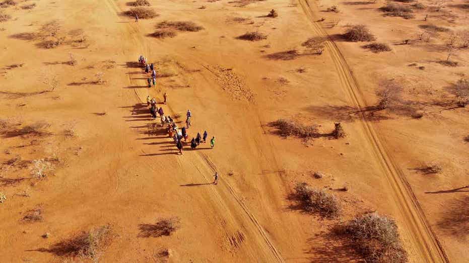 report-estimates-43,000-somalians-died-during-the-country’s-longest-drought-on-record