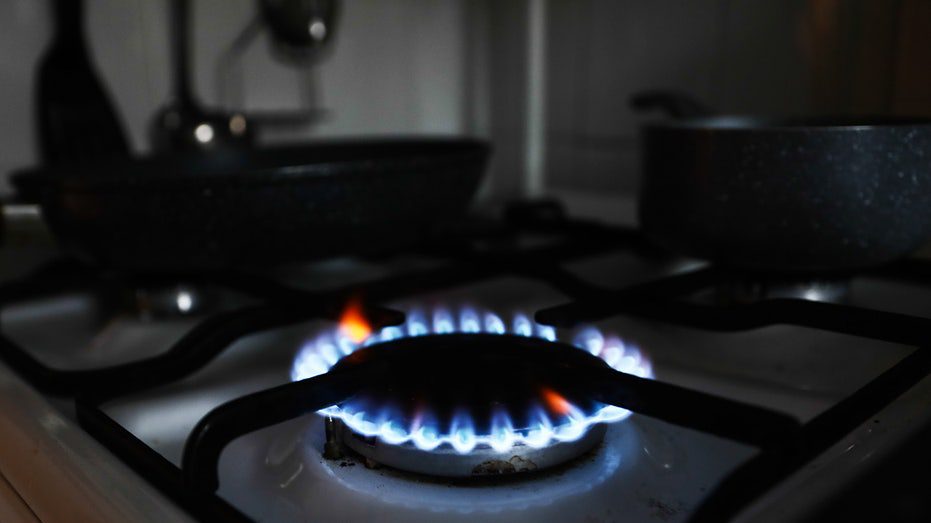 ‚hands-off-my-stove‘:-new-group-pushes-back-against-gas-stove-bans-sweeping-nation