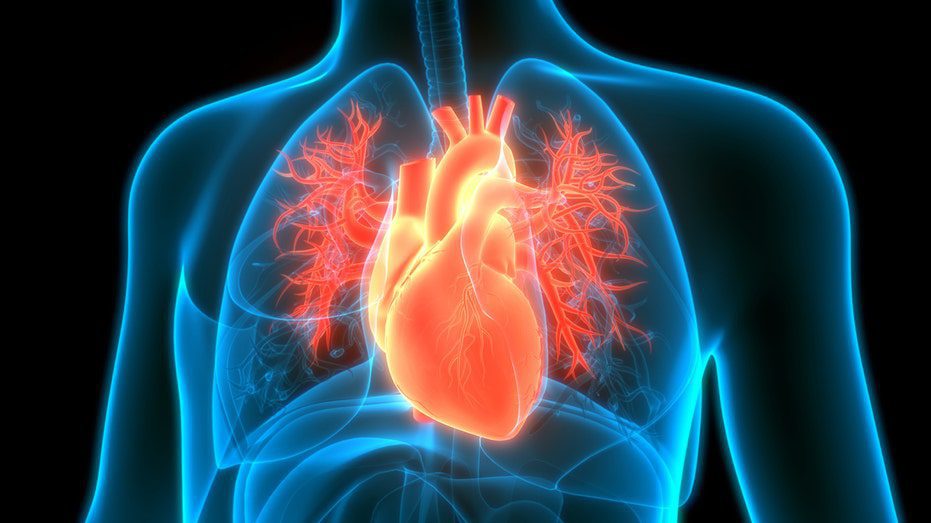 heart-disease-risk-could-be-affected-by-one-surprising-factor,-new-study-finds