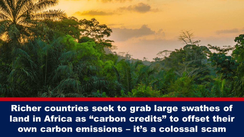 reichere-laender-versuchen,-grosse-landflaechen-in-afrika-als-„kohlenstoffguthaben“-zu-ergattern,-um-ihre-eigenen-kohlenstoffemissionen-auszugleichen-–-es-handelt-sich-um-einen-gigantischen-betrug