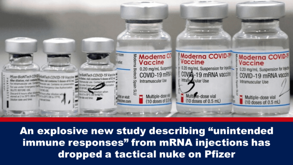 eine-explosive-neue-studie-beschreibt-„unerwuenschte-immunreaktionen“-durch-mrna-injektionen-und-hat-pfizer-mit-einer-taktischen-atombombe-getroffen