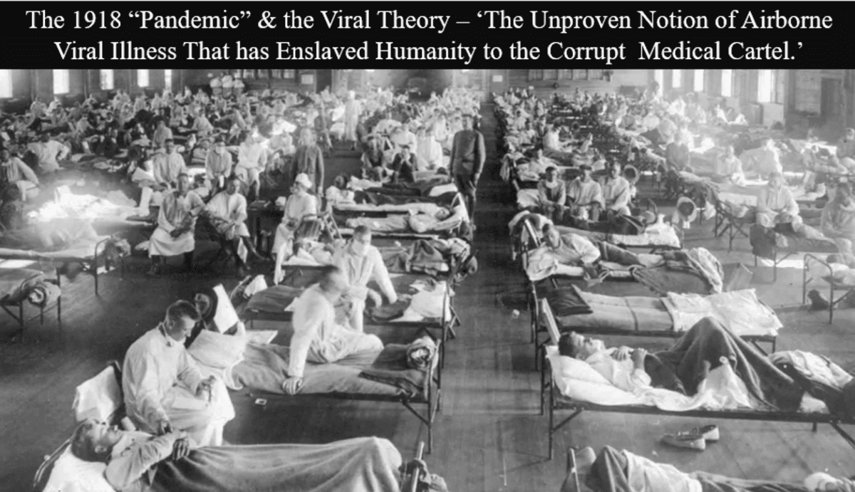 die-1918er-‚pandemie‘-und-die-virale-theorie-–-‚die-unbewiesene-vorstellung-von-luftuebertragener-viralen-krankheiten,-die-die-menschheit-dem-korrupten-medizinischen-kartell-unterwirft