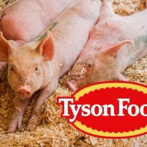 tyson-foods-kuendigt-schliessung-eines-grossen-schweinefleischverarbeitungsbetriebs-in-perry,-ia-an,-wodurch-ueber-1.200-mitarbeiter-arbeitslos-werden